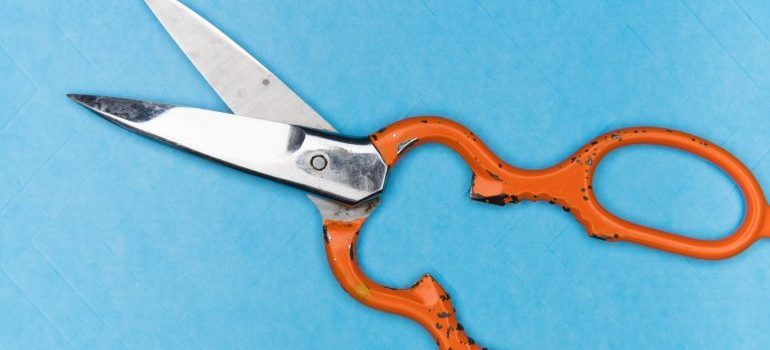 Orange handle scissors