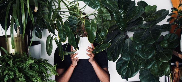 A person surrounded by houseplants